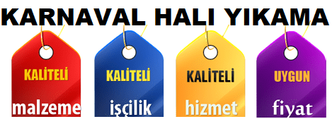 Halı yıkama 